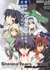 Shining Tears