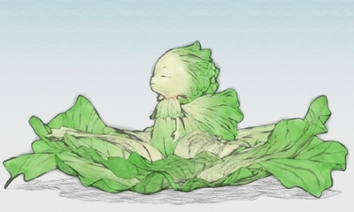 N.Y. Salad - The World of Vegetable Fairies