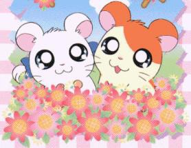 Hamtaro