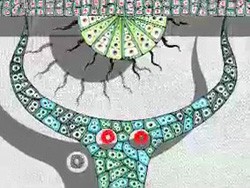 ロストユートピア