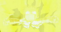 Gash Bell the 1st Movie: Unlisted Demon 101