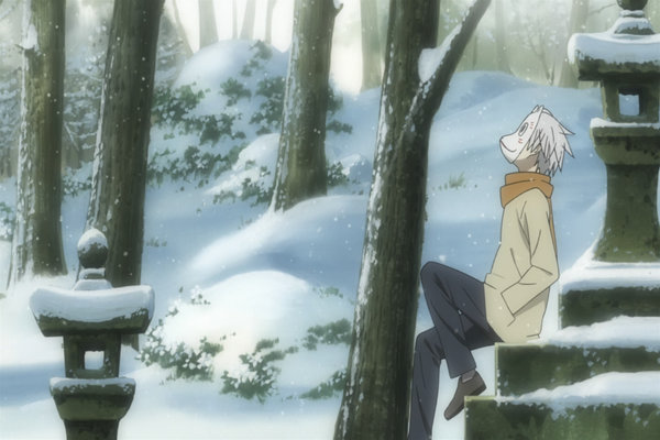 The Light of a Firefly Forest