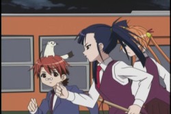 魔法先生 ネギま!