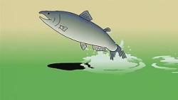 Ginga no Uo URSA minor BLUE