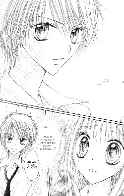 Nagatachou Strawberry